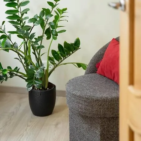 Old Town Apartment *